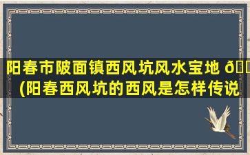 阳春市陂面镇西风坑风水宝地 🌺 (阳春西风坑的西风是怎样传说)